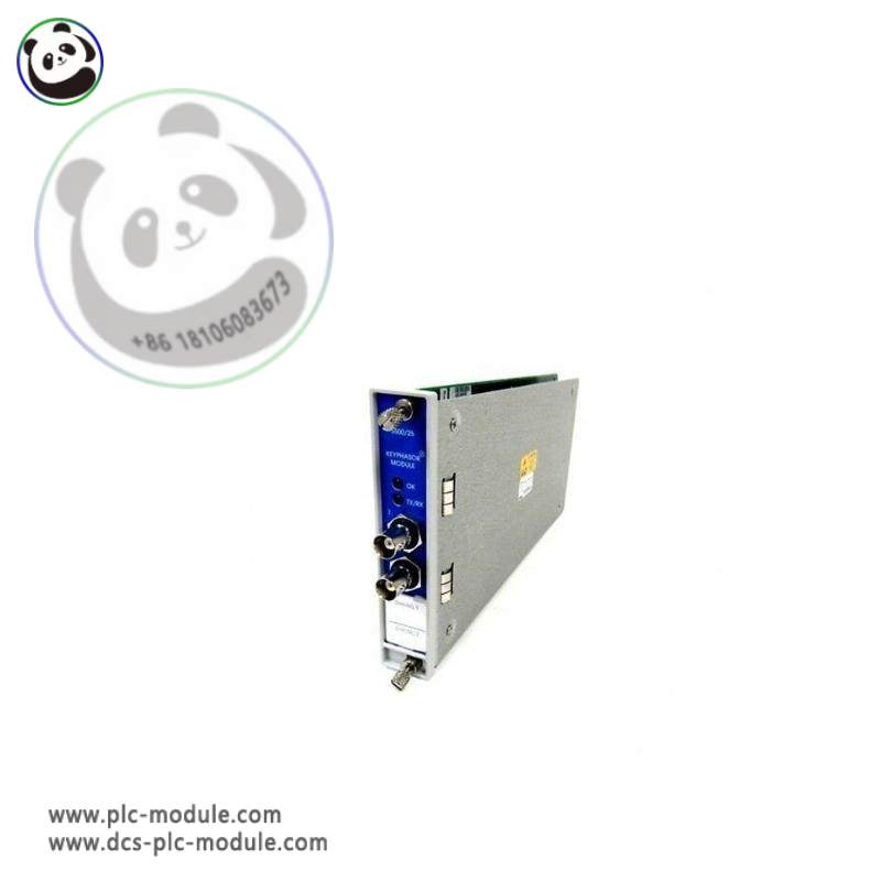 Bently Nevada 3500/22M 138607-01 Transient Data Interface Module - High-Speed Communication for Industrial Control Systems