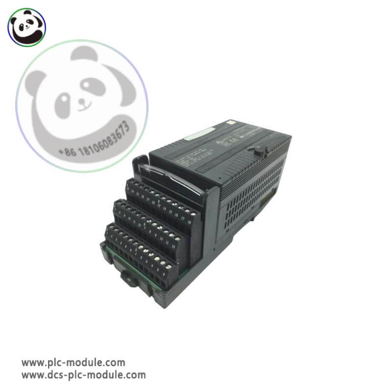 GE IC200ALG620-FD Analog Input Module