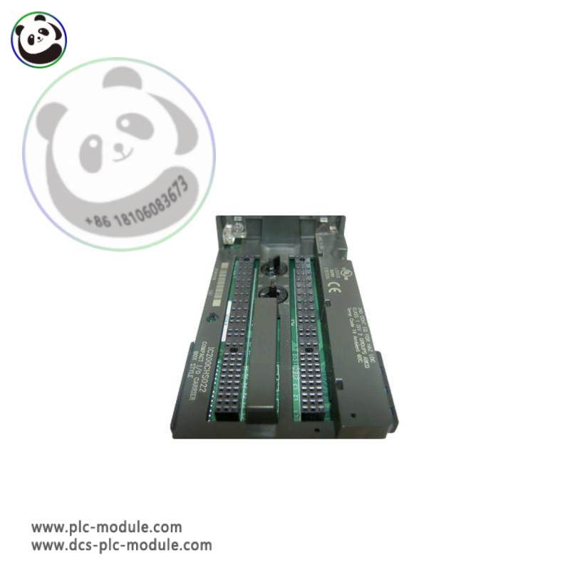 GE IC200CHS022 Carrier Module: High-Performance Control in Industrial Automation