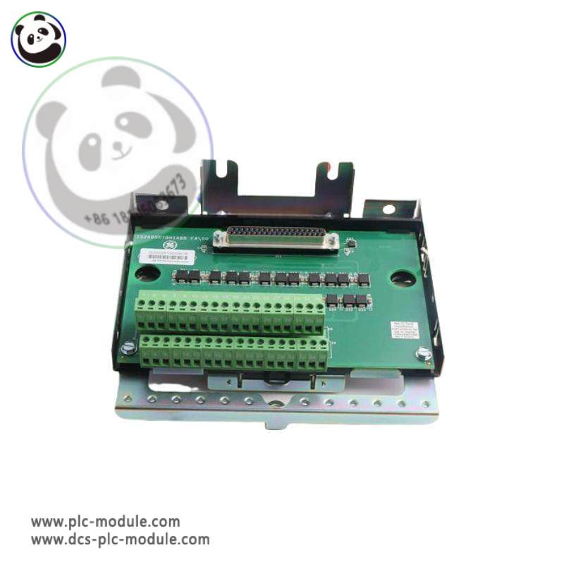 GE IS230SNRTH2A, IS200SRTDH2ACB: Advanced RTD Input Module