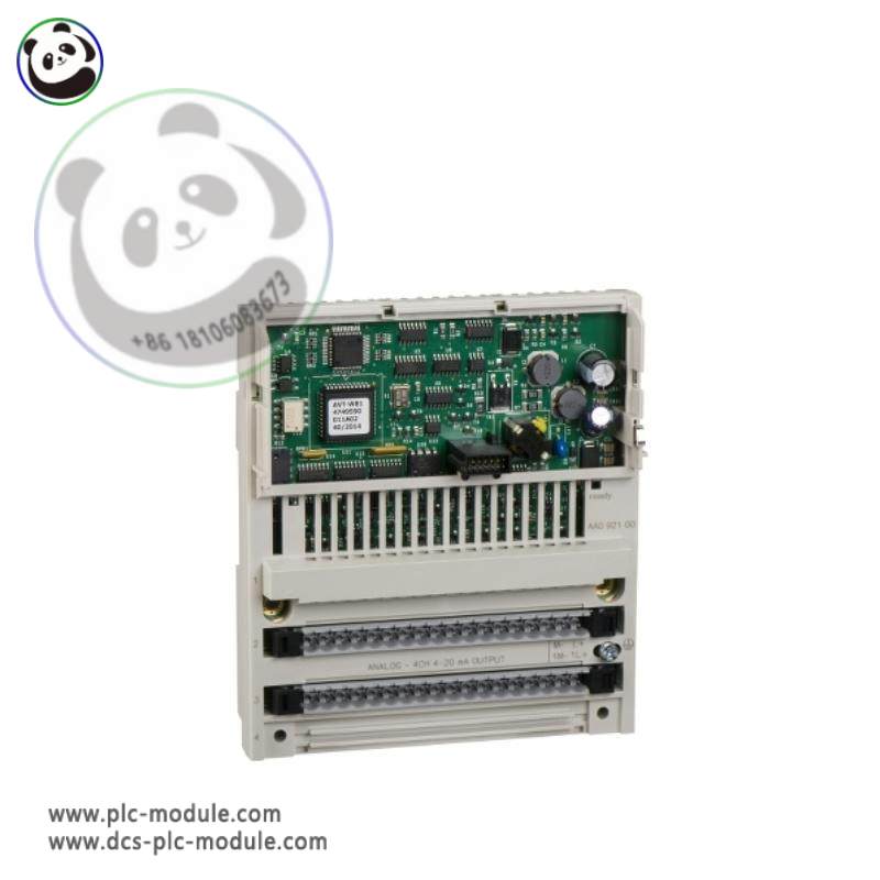 Schneider Electric 170AAO92100 Analog Output Module