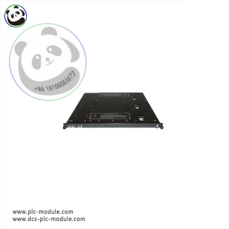 Triconex 7400169-310 | 9962-1XX Output Module; Manufacturer: Triconex